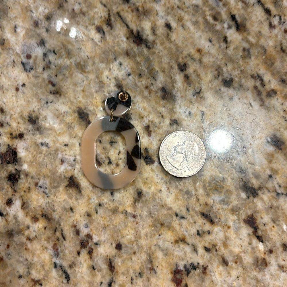 Turtle 🐢 Shell Ears - Picture 7 of 8